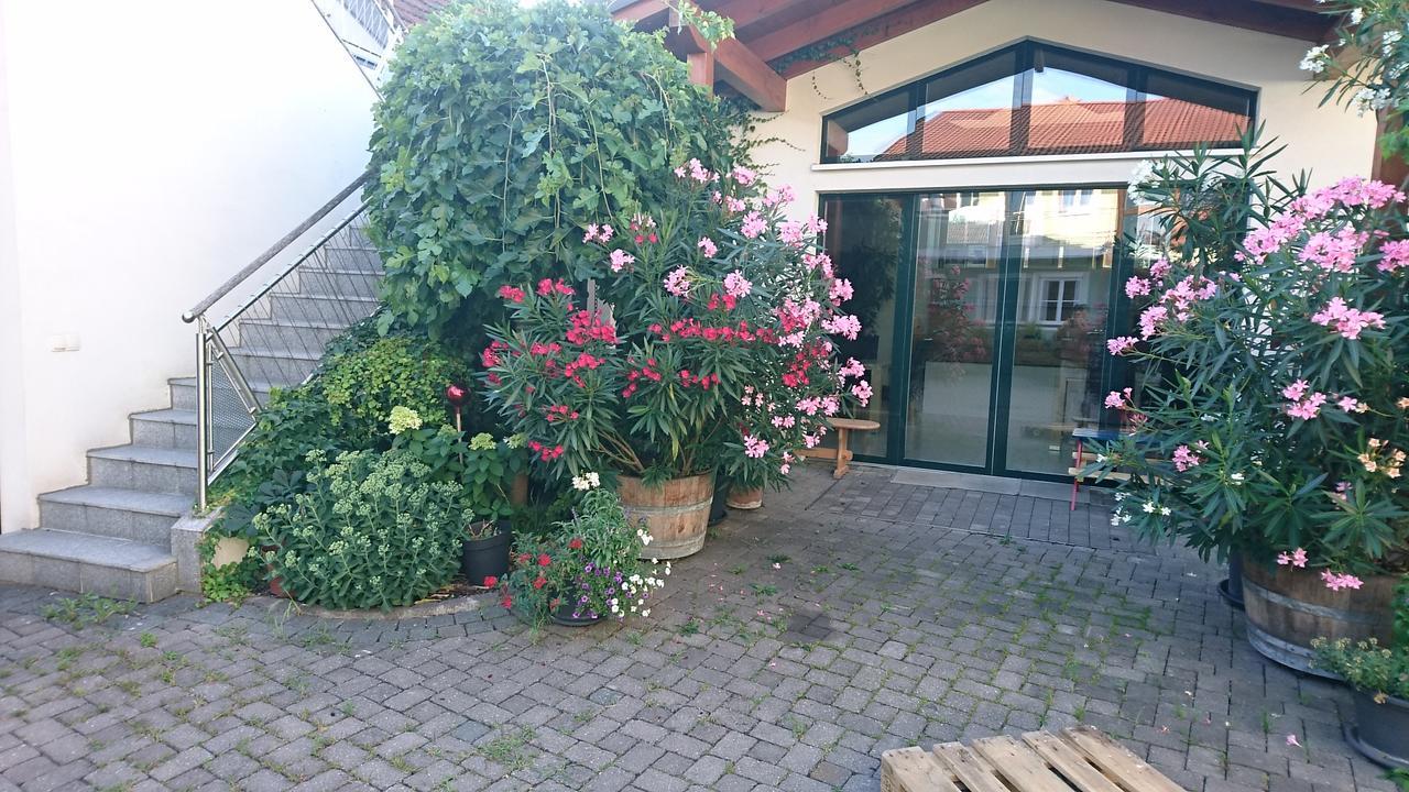 Weingut Familie Bauer Hotel Grossriedenthal ภายนอก รูปภาพ